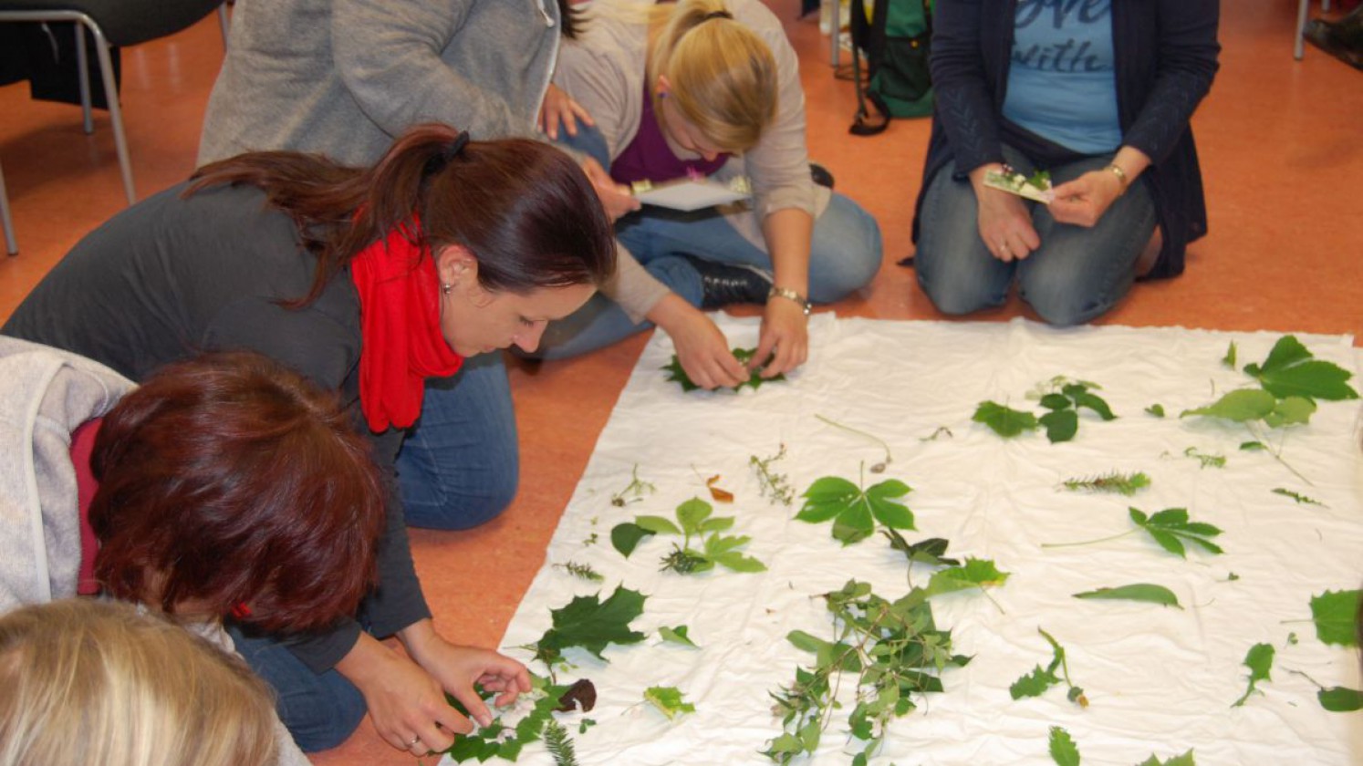 Beim Blätter sortieren während der Weiterbildung in der Natur aktiv.