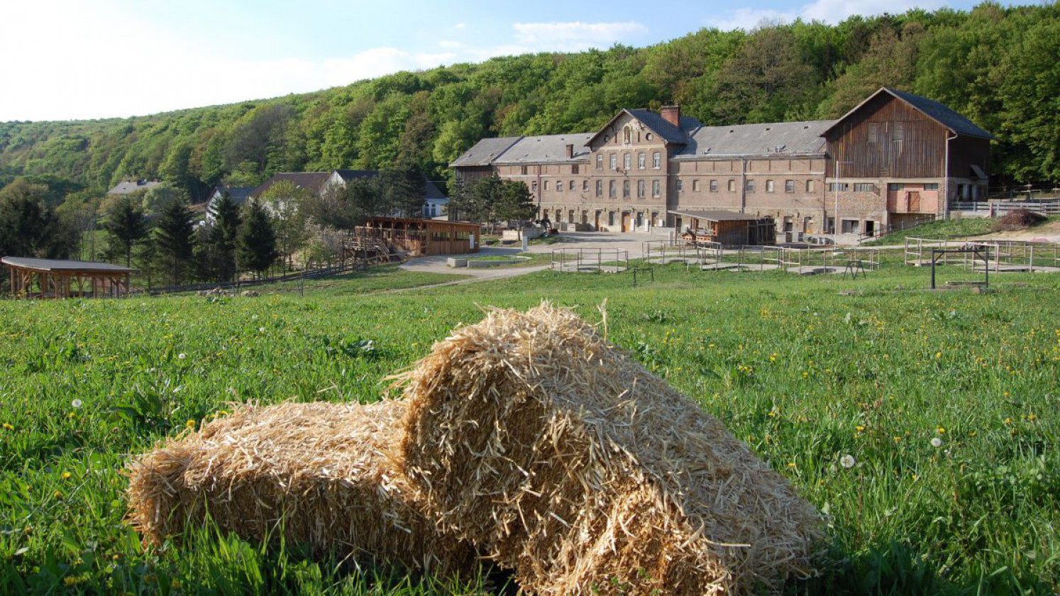 Bauernhof Tullnerbach