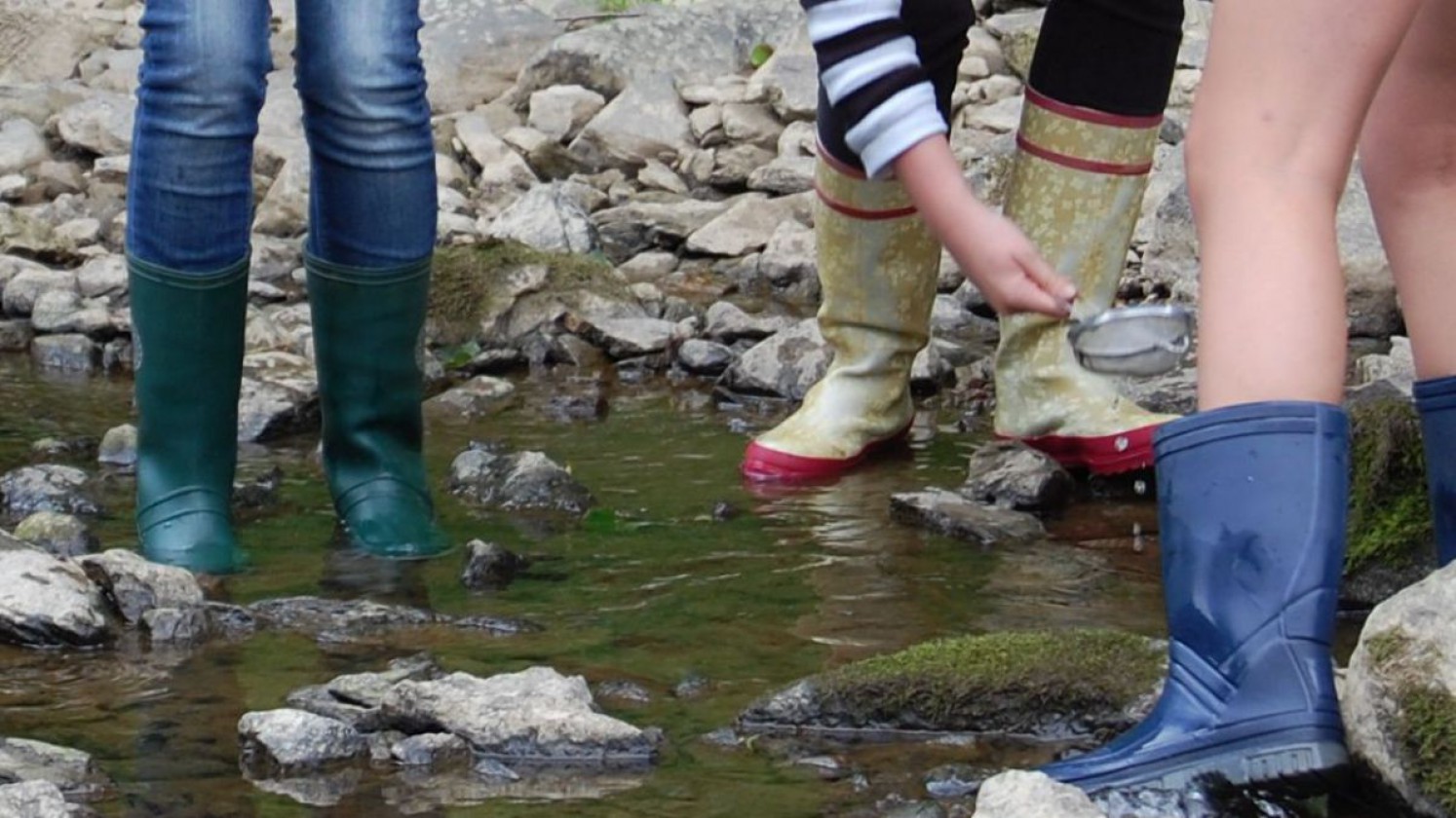 Kinder mit Gummistiefel beim Gewässer erforschen
