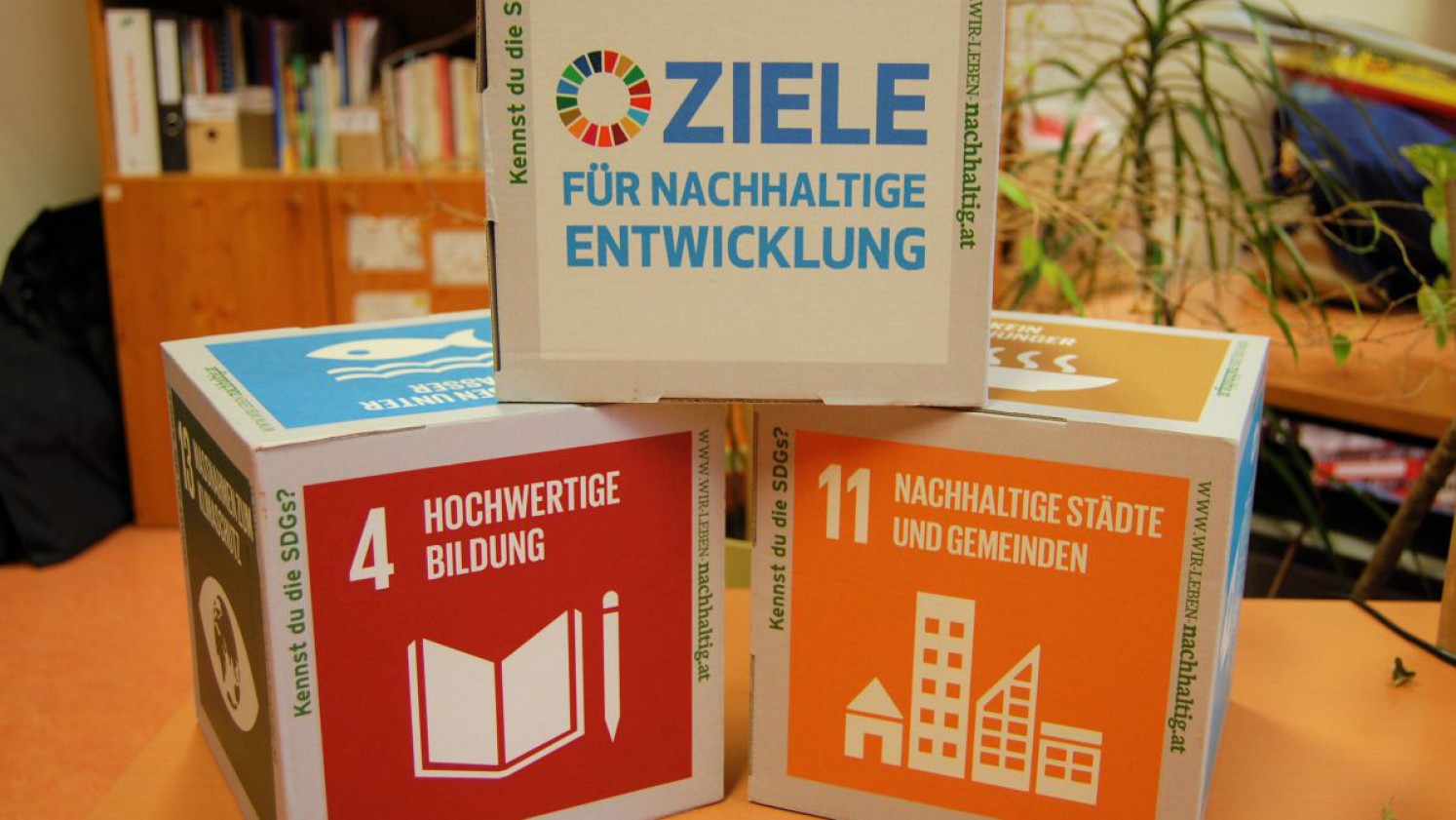 Die 17 Ziele für eine nachhaltige Entwicklung als Würfel dargestellt.