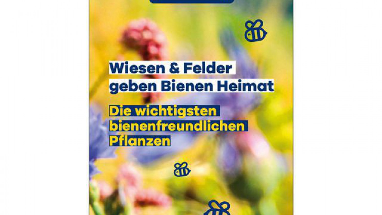 Cover des Bestimmungsfächers Wir für Bienen