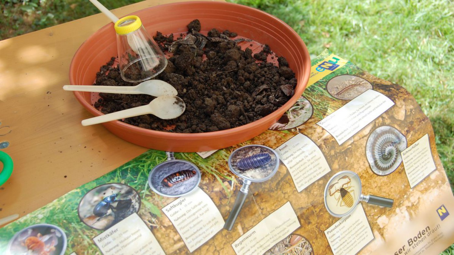 Komposterde mit Bodentieren und Bodentiere-Bestimmungsposter