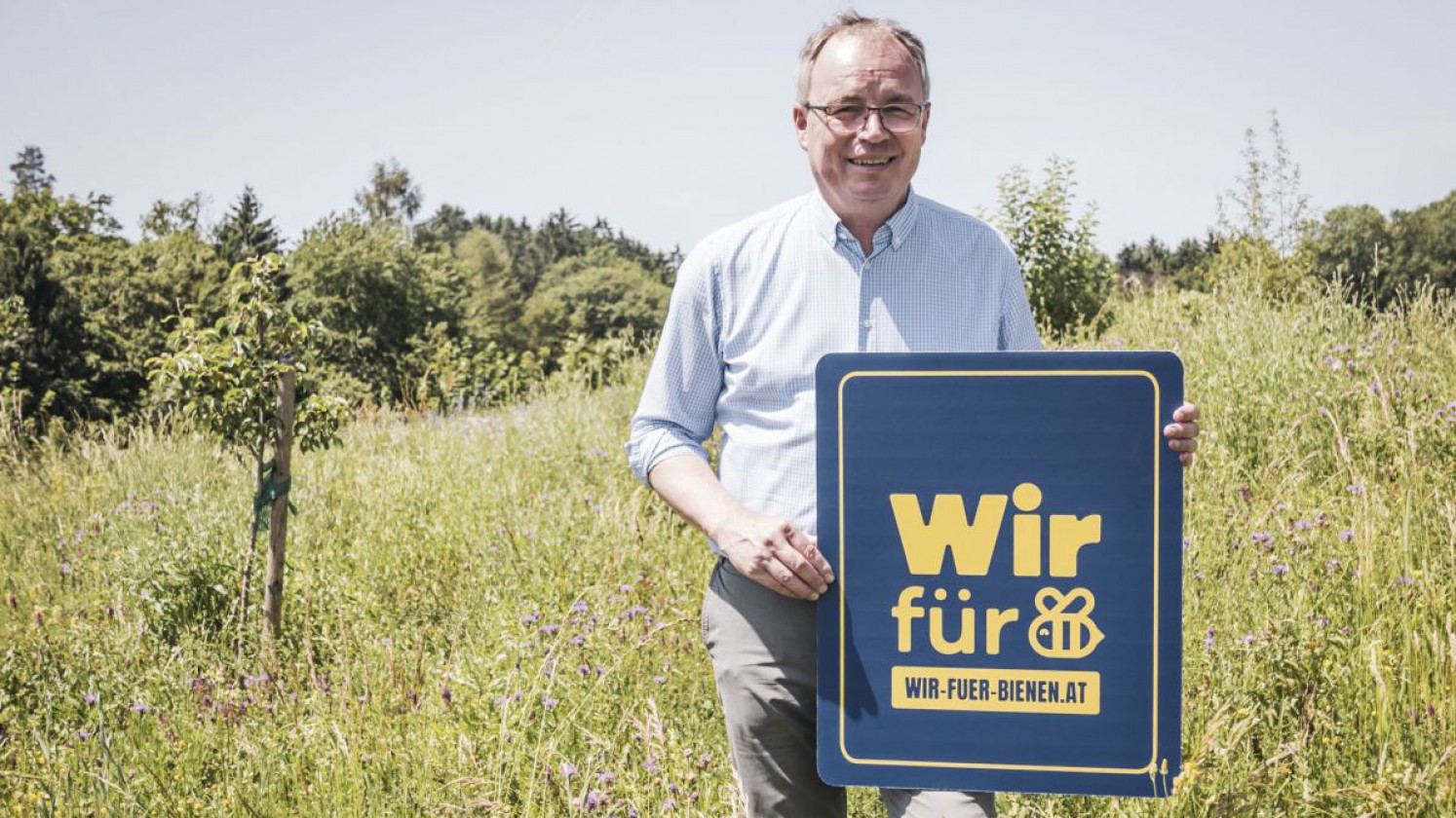 Wir für Bienen