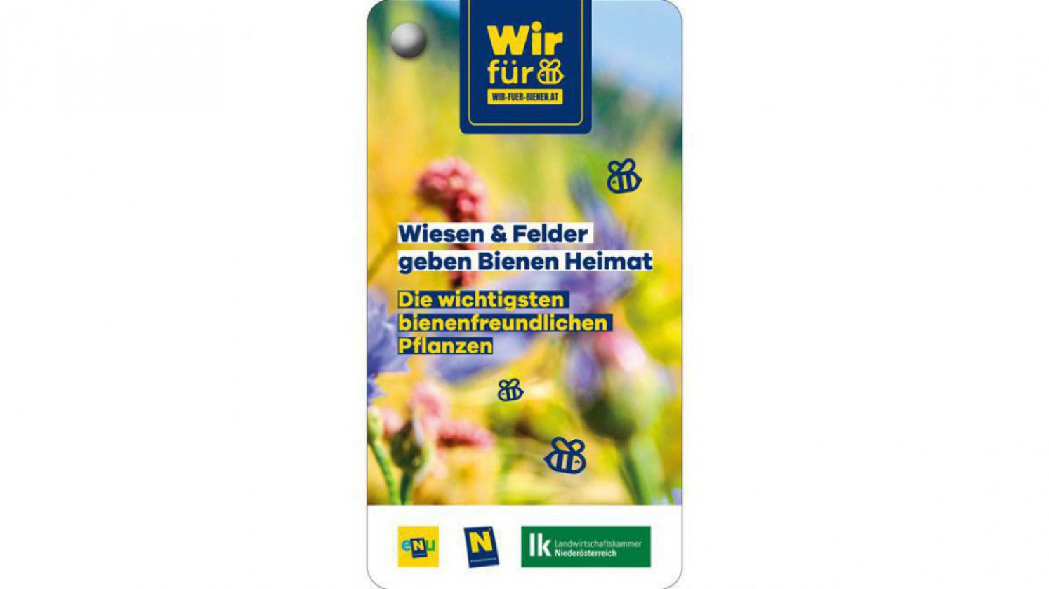 Pflanzen für Bienen