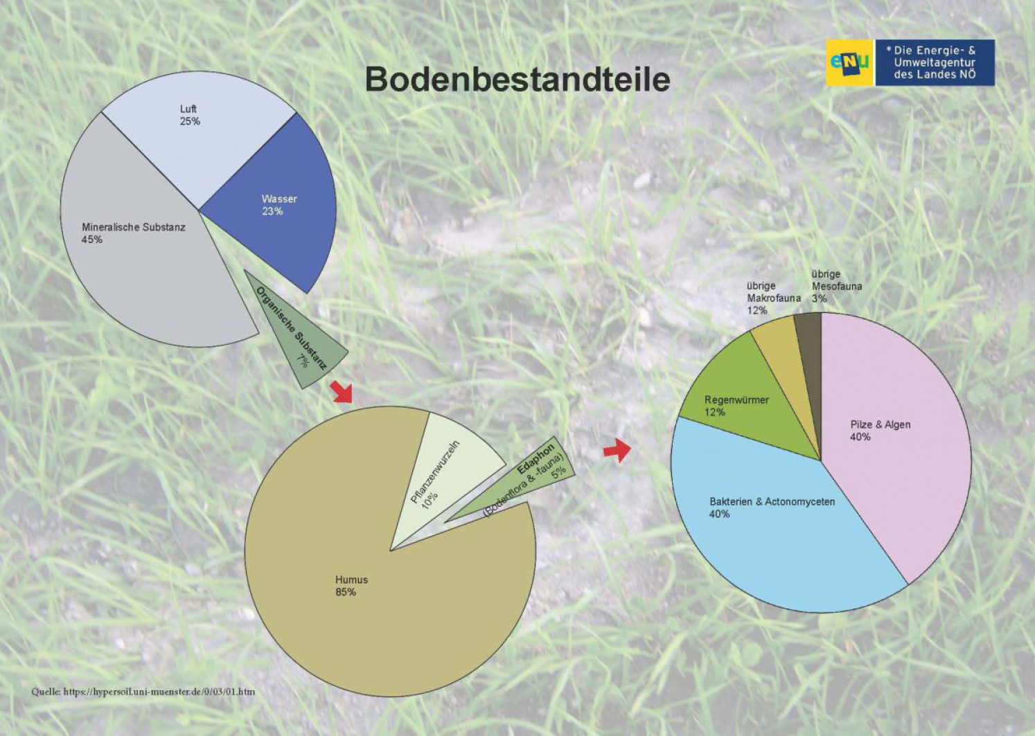 Tortendiagramm zu den Bodenbestandteilen