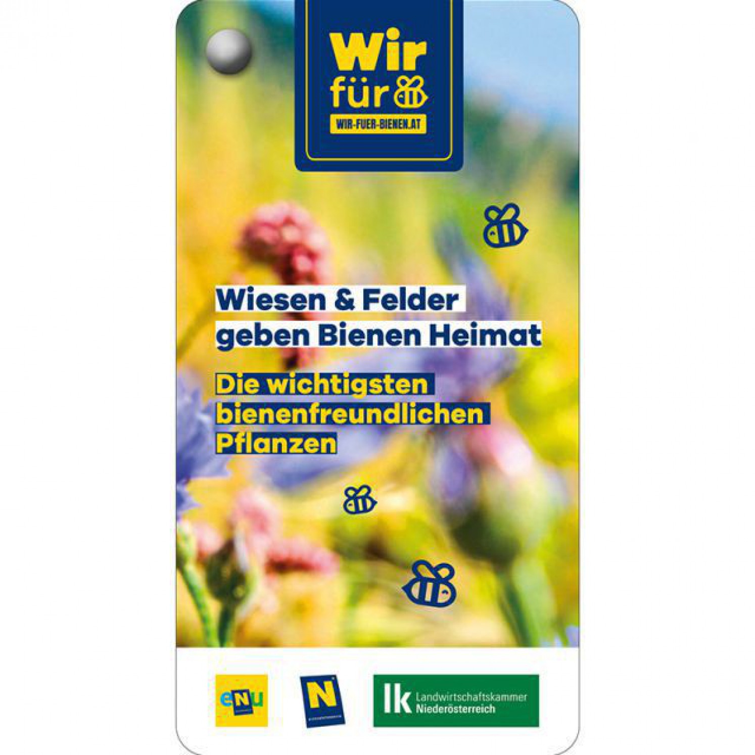 Cover des Bestimmungsfächers Wir für Bienen