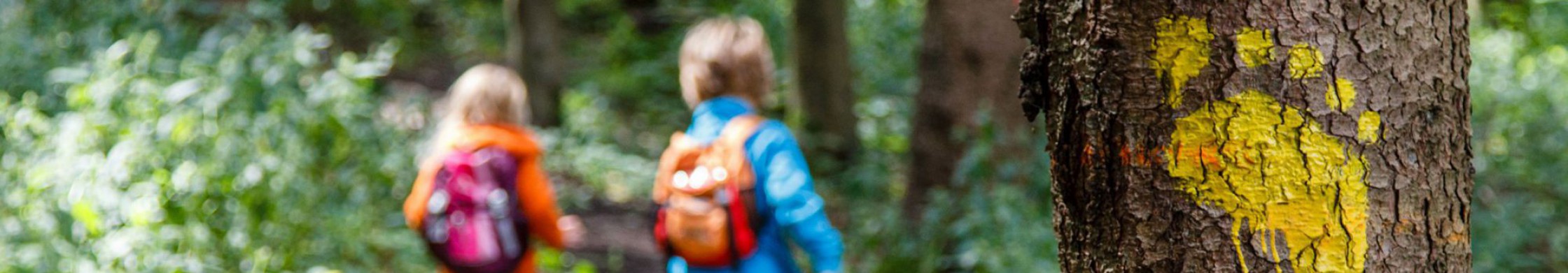 Zwei Kinder wandern durch Wald, auf einem Baumstamm ist ein gelber Fußabdruck aufgezeichnet