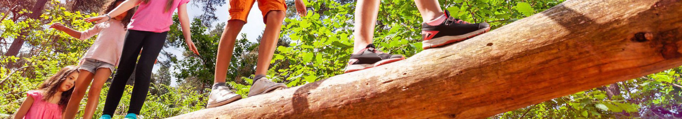 Kinder balancieren auf einem Baumstamm