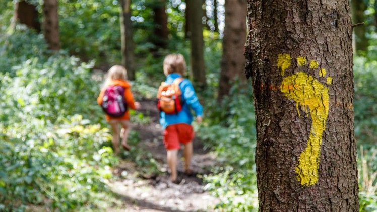 Zwei Kinder wandern durch Wald, auf einem Baumstamm ist ein gelber Fußabdruck aufgezeichnet