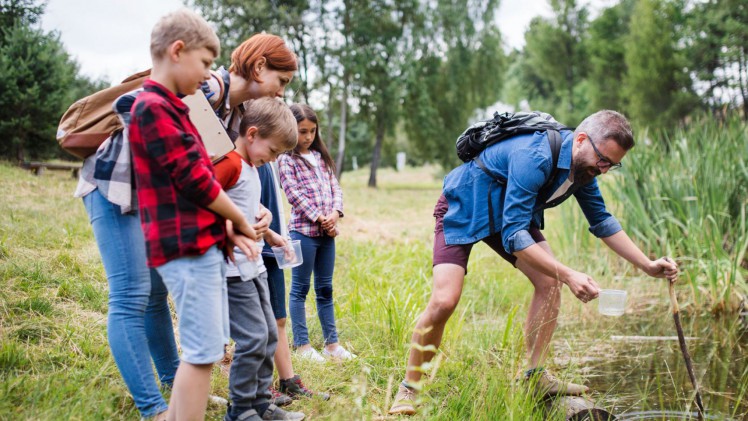 Gemeinsam den Bach erforschen