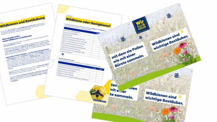 Arbeitsblätter und Domino