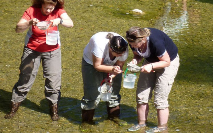 Pädagoginnen und Pädagogen am Untersuchen der Gewässerorganismen im Zuge der Weiterbildung WasserforscherInnen unterwegs.