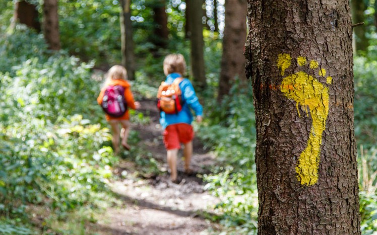 Zwei Kinder wandern durch Wald, auf einem Baumstamm ist ein gelber Fußabdruck aufgezeichnet