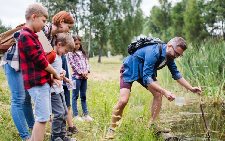 Gemeinsam den Bach erforschen